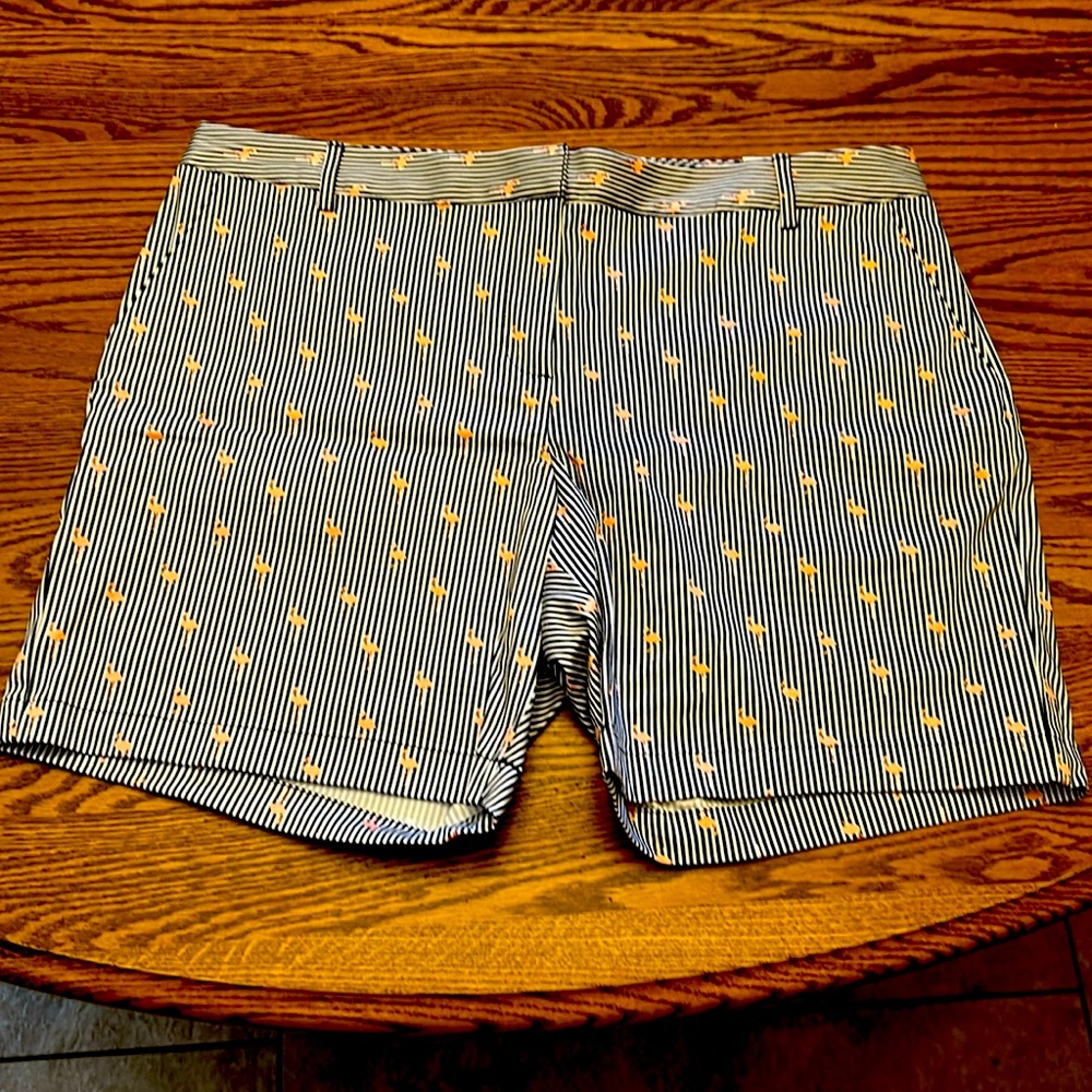 NWT IZOD Shorts. Size 14. Flamingo pattern with black stripes.